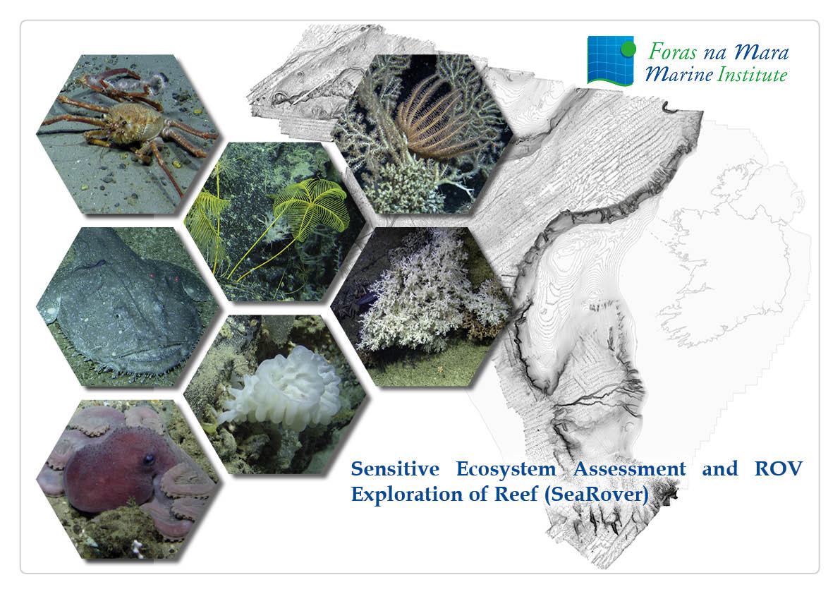 This is a demonstration website hosting the video and data from the SeaRover project